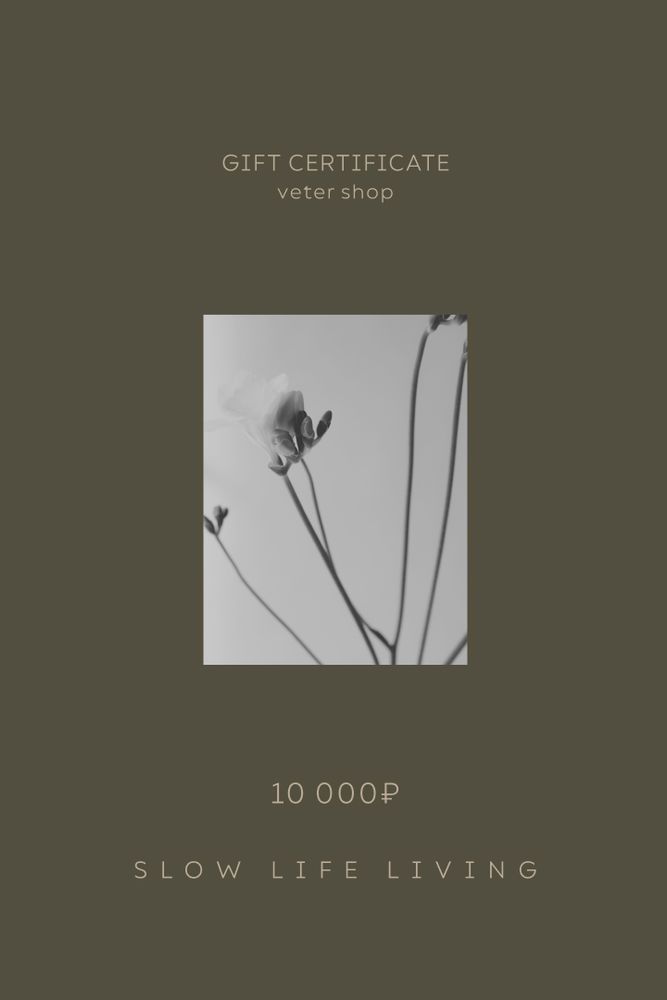 Подарочный сертификат на 10,000 рублей / Veter Shop