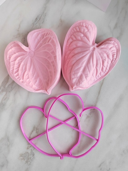 Антуриум XXL