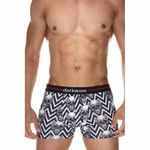 Трусы мужские боксеры черно-белые DARKZONE DZN2080