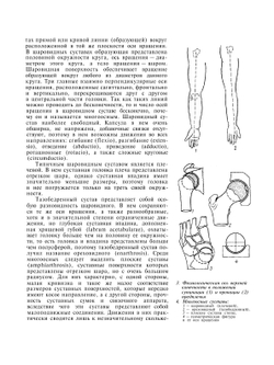 Атлас травматических вывихов | М.И. Синило