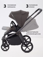 Коляска 2 в 1 Rant Flex Soft Therm