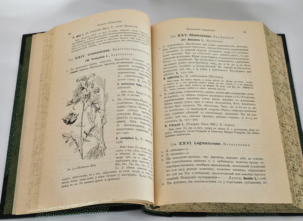 "Флора Средней России. Иллюстрированное руководство к определению среднерусских семенных и сосудистых споровых растений". П.Ф. Маевский, доп. Д.И. Литвиновым. 1917 г.