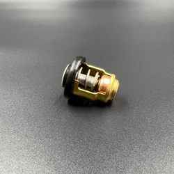 Термостат Yamaha 3-250 (KACAWA)