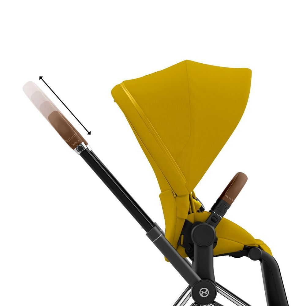 Cybex Priam IV (Прогулочная)