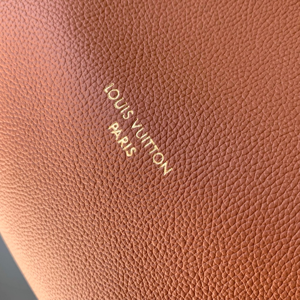Louis Vuitton Express PM