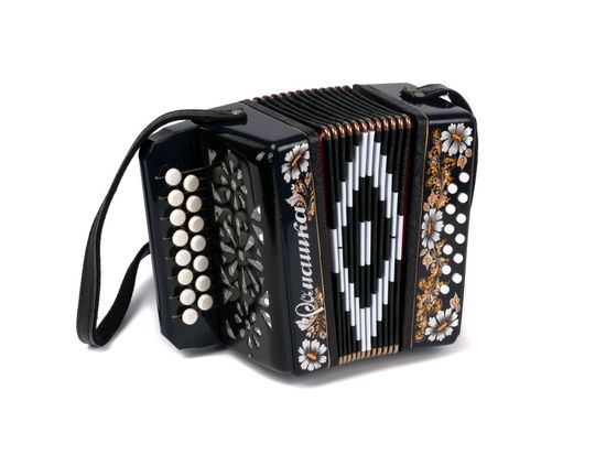 S20XL-C-BLACK Гармонь "Ромашка" 15х12-I, черная, палехская роспись, Шуйская гармонь