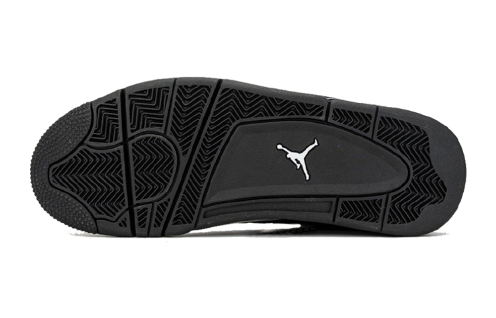 Кроссовки Jordan Air Jordan 4 2020