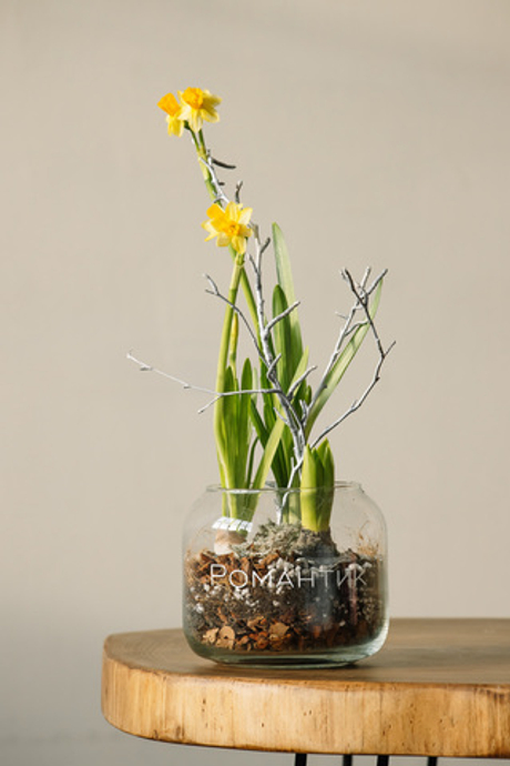 Весенний сад в стекле