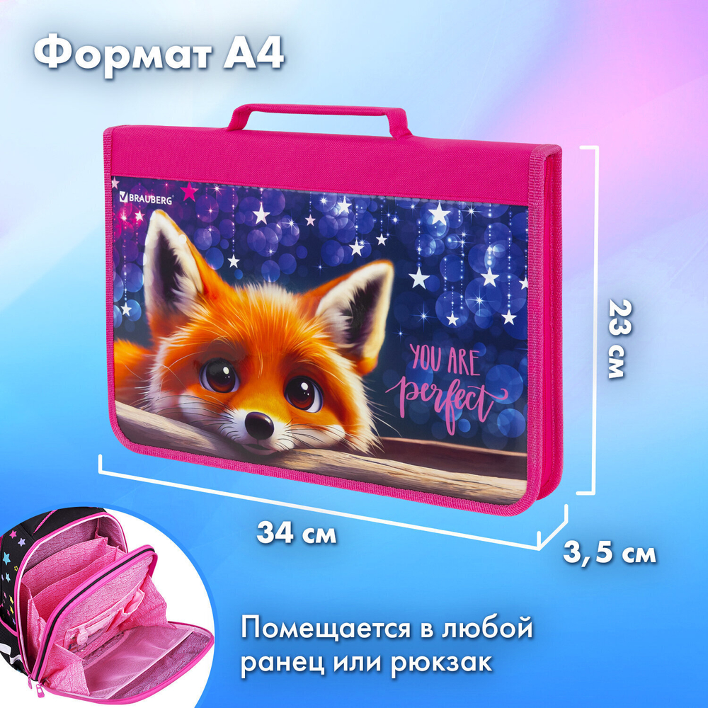 Папка на молнии BRAUBERG А4 с ручкой с органайзером 1 отделение "Cute fox" (2 штуки в упаковке)