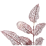 Ветка декоративная «Осенняя пора» 85 см, Рубин