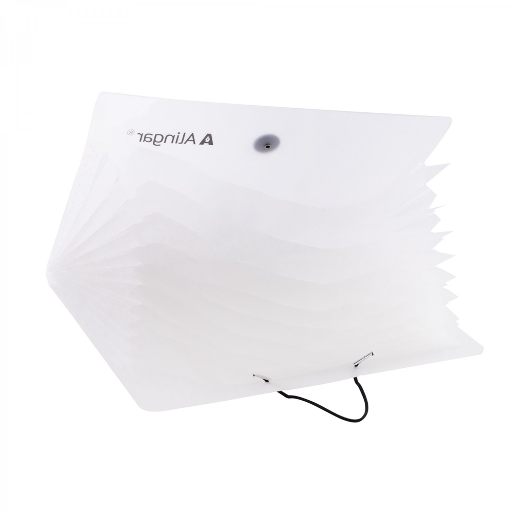 Папка на резинке Alingar, A4, "Lucky", 325х235х20 мм, 500 мкм,13 отделений, наклейки-разделители, прозрачная, матовая, текстура