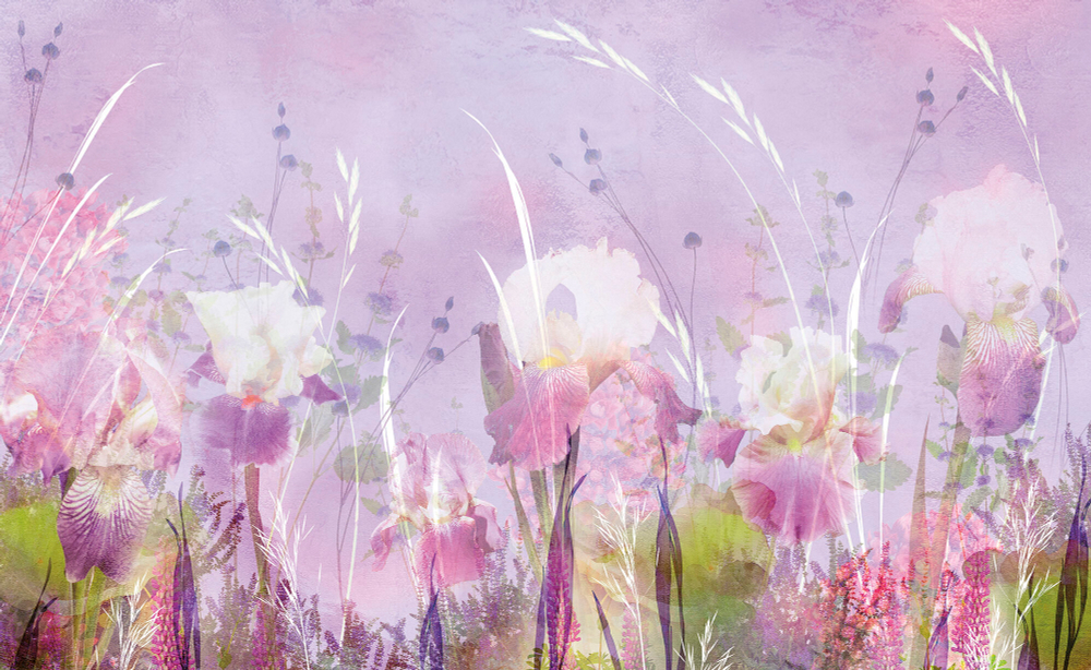 Коллекция Цветы