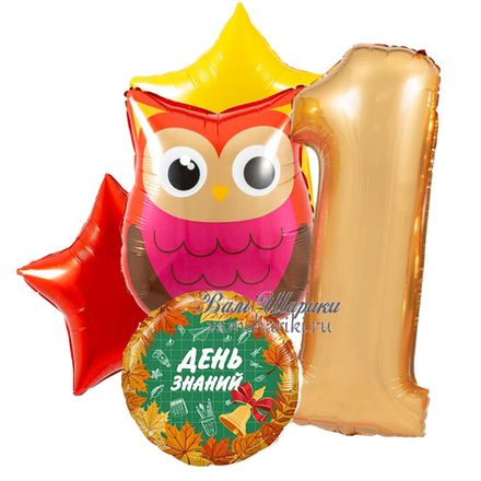 Фонтан шаров "Умная сова на 1 сентября"