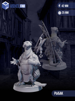 Жители Лесного Города миниатюр для настольных игр РНИ, DND