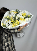 Солнечный блики