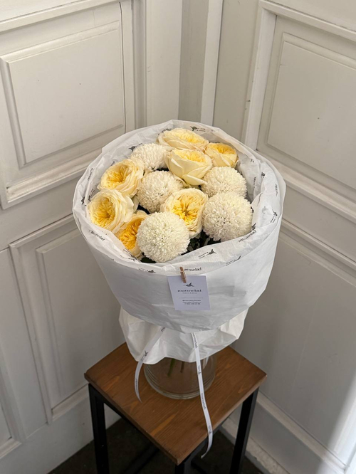 собран сегодня #01