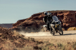 TRIUMPH  TIGER 1200 RALLY EXPLORER 2023