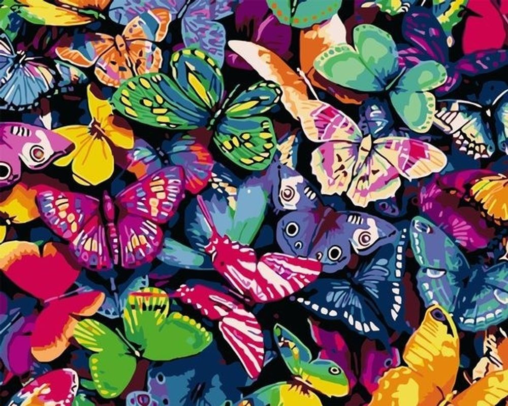 Картина по номерам 40х50 - Красочные бабочки