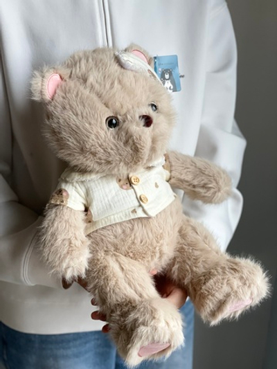 Мишка в одежде