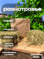 Сено луговое 900 грамм в тюках (брикетах)