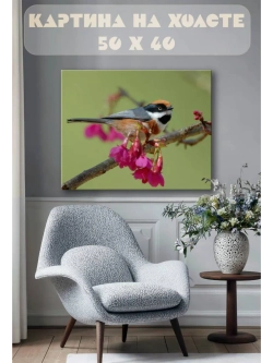 Картина на стену 40 X 50 Птица