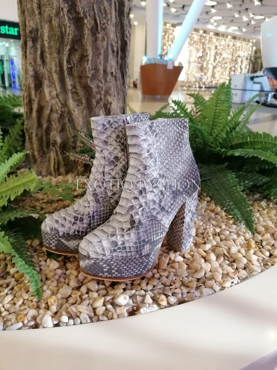 Ботильоны из кожи питона SH-171