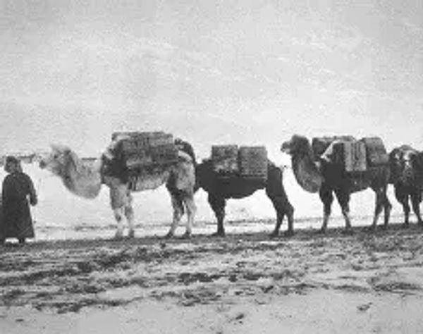 Russian Caravan Tea