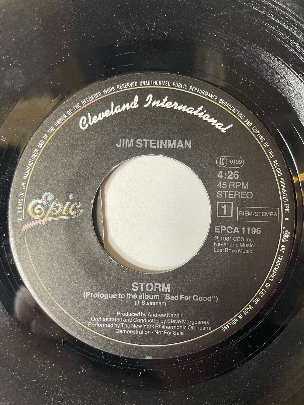 Винтажная виниловая пластинка LP Jim Steinman The Storm / Rock And Roll Dreams Come Through (Holland 1981) 7 дюймов