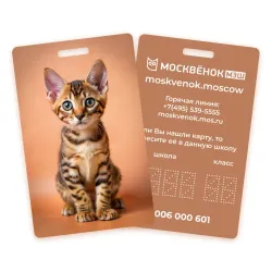 Карта Москвёнок CATS №2 (проход + питание)