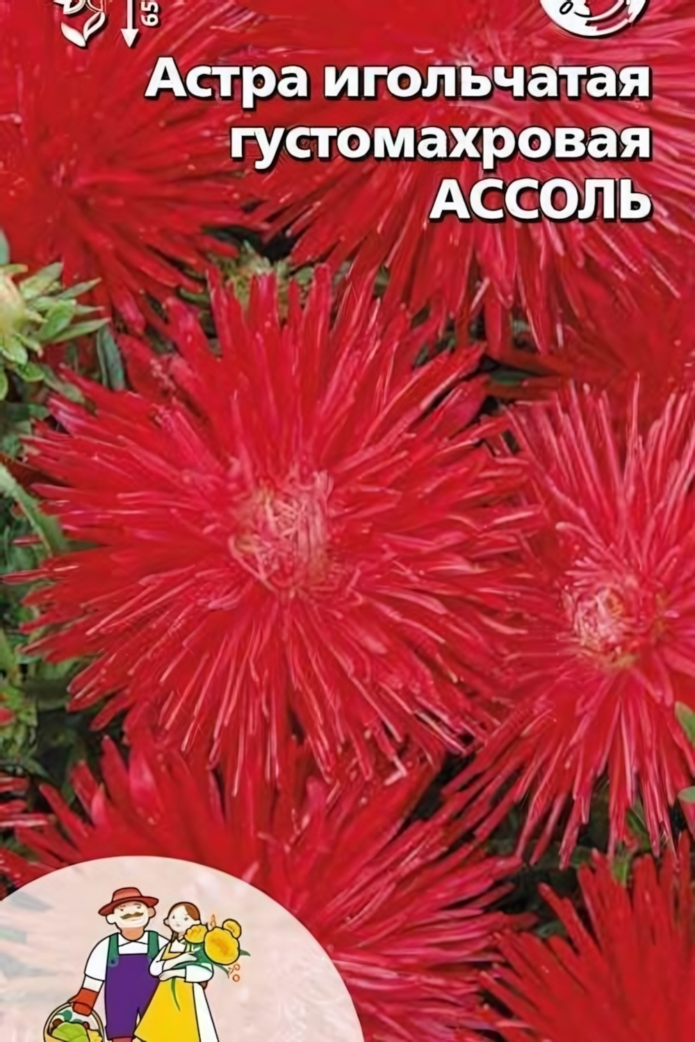 Семена Астра игольчатая густомахровая Ассоль (УД) Е/П