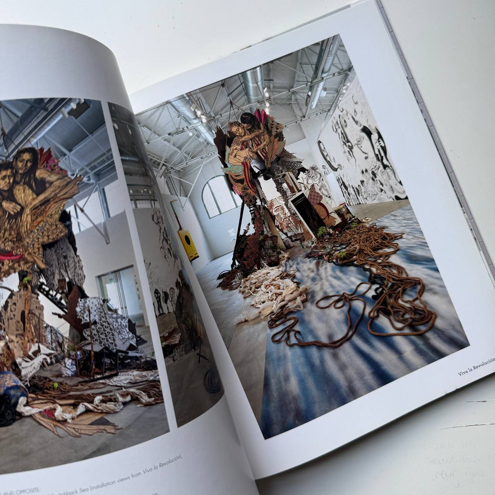 Книга Viva La Revolucion