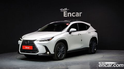 Lexus NX350h 2 Generation Luxury (11.2023)