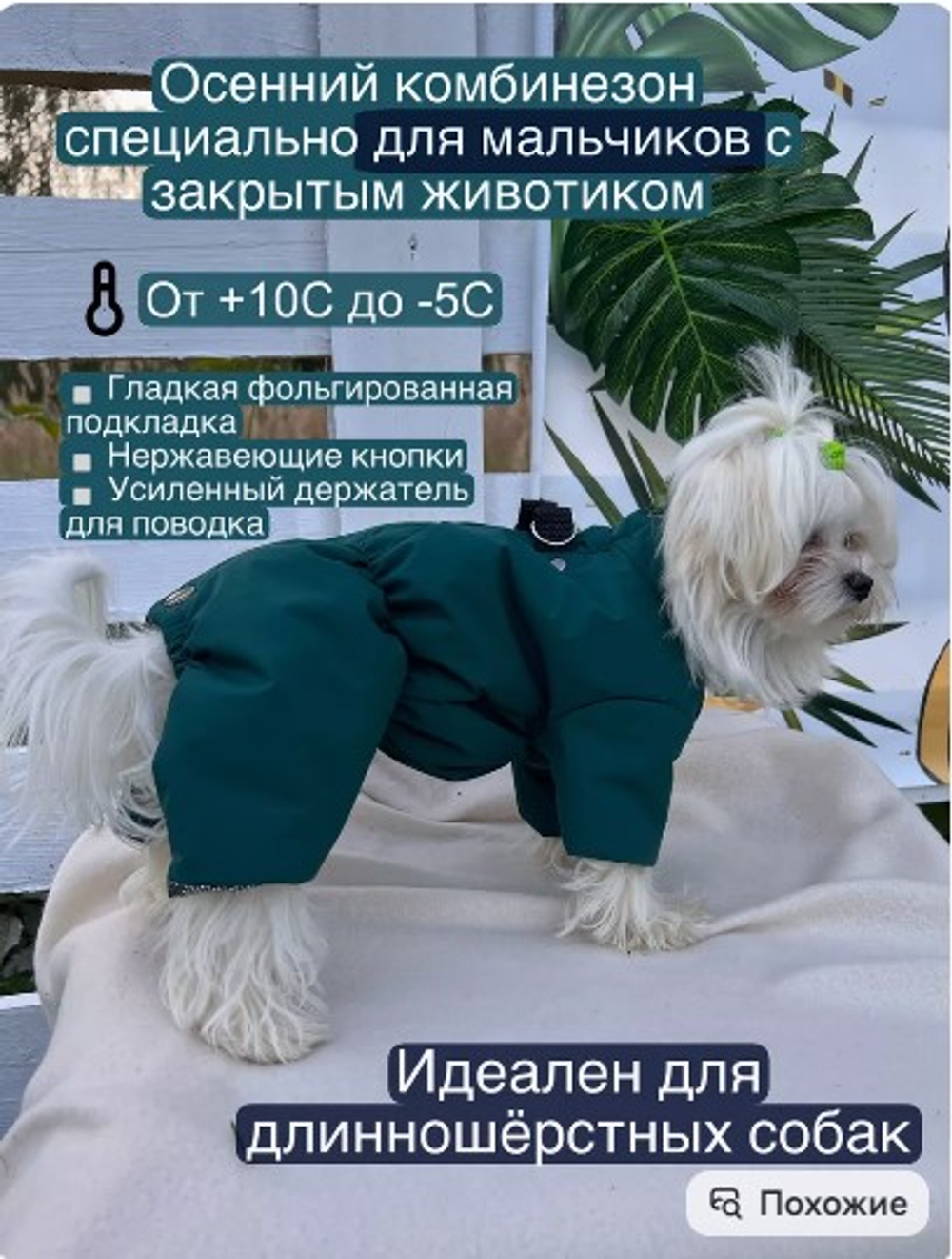 Демисезонный комбинезон для собак (мальчик)