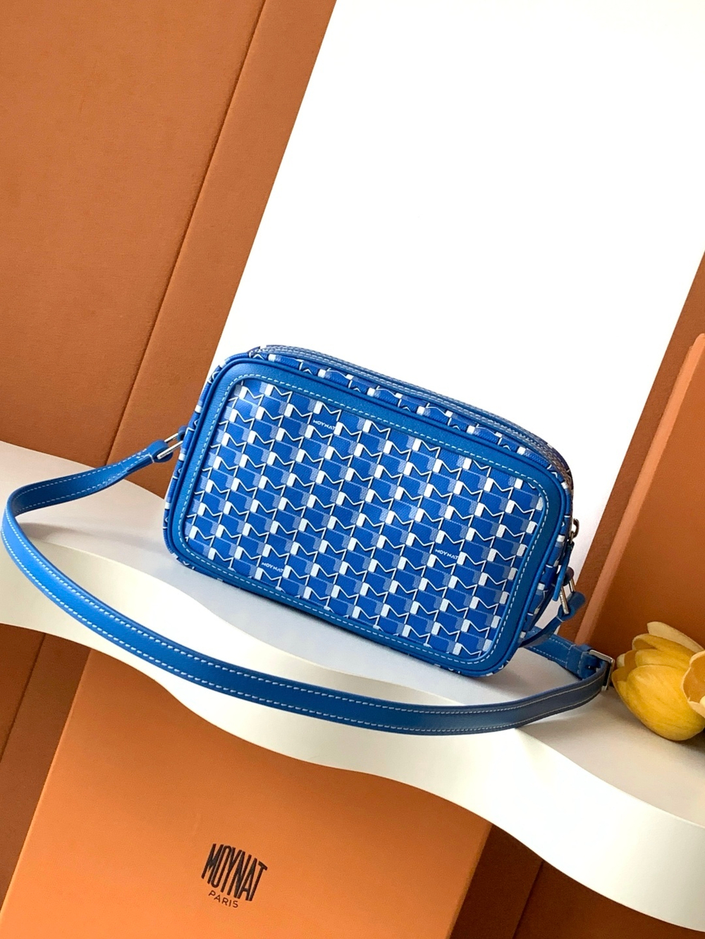 Moynat Camera Bag 22 cm
