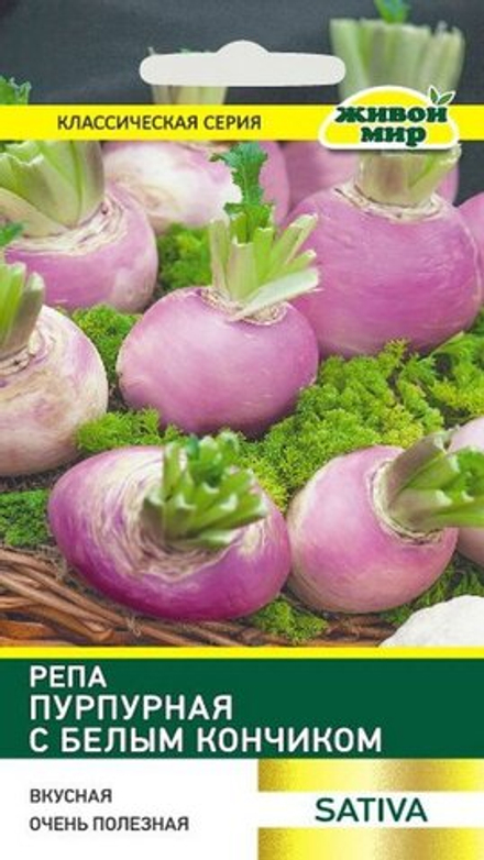 Репа "ЖМ. Пypпypнaя c бeлым кoнчикoм" 2г., Италия.