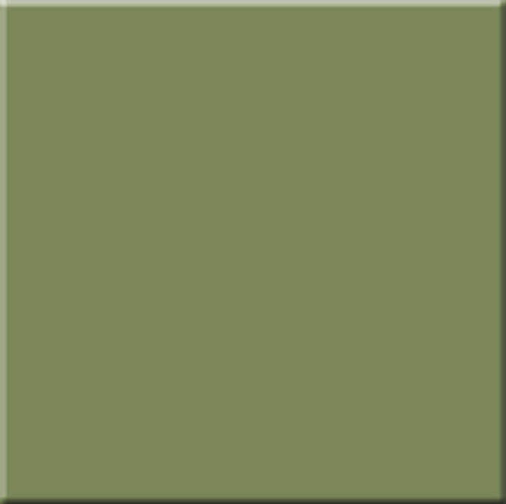 Estima Rainbow RW06 Green Непол.Рект. 60x60