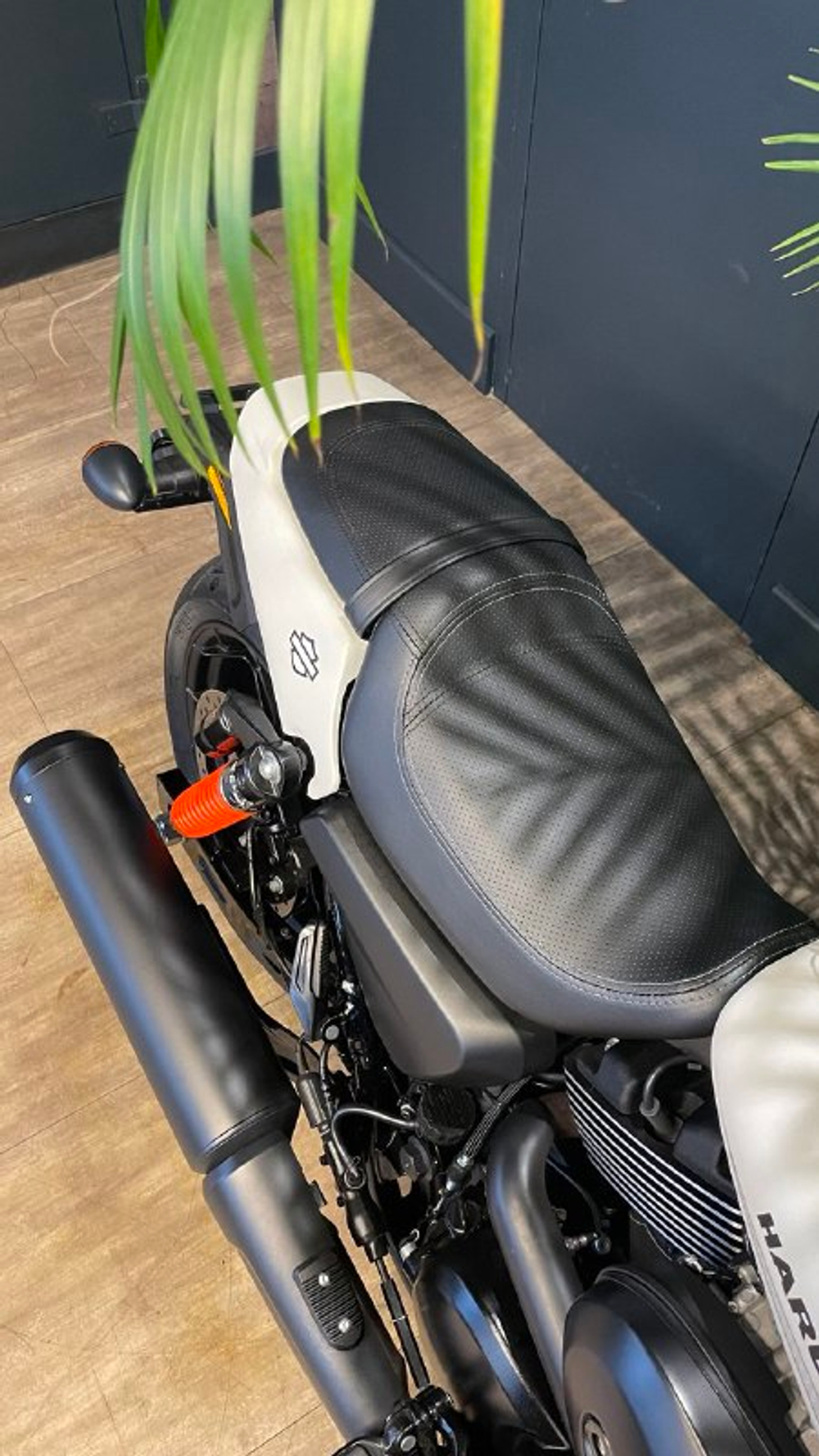 Harley-Davidson Street ROD 2017