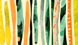 Коллекция MF0036