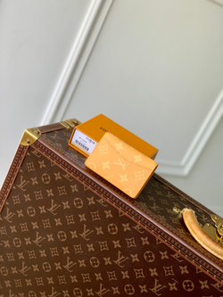 Louis Vuitton Pocket Organizer