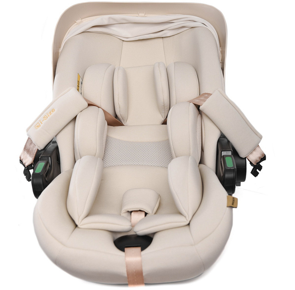 Прогулочная коляска Peppy Amici с автокреслом Verona Beige Green рама Gold