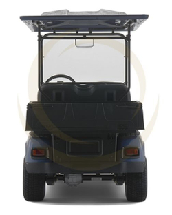 Гольфкар EWAY HM6-1
