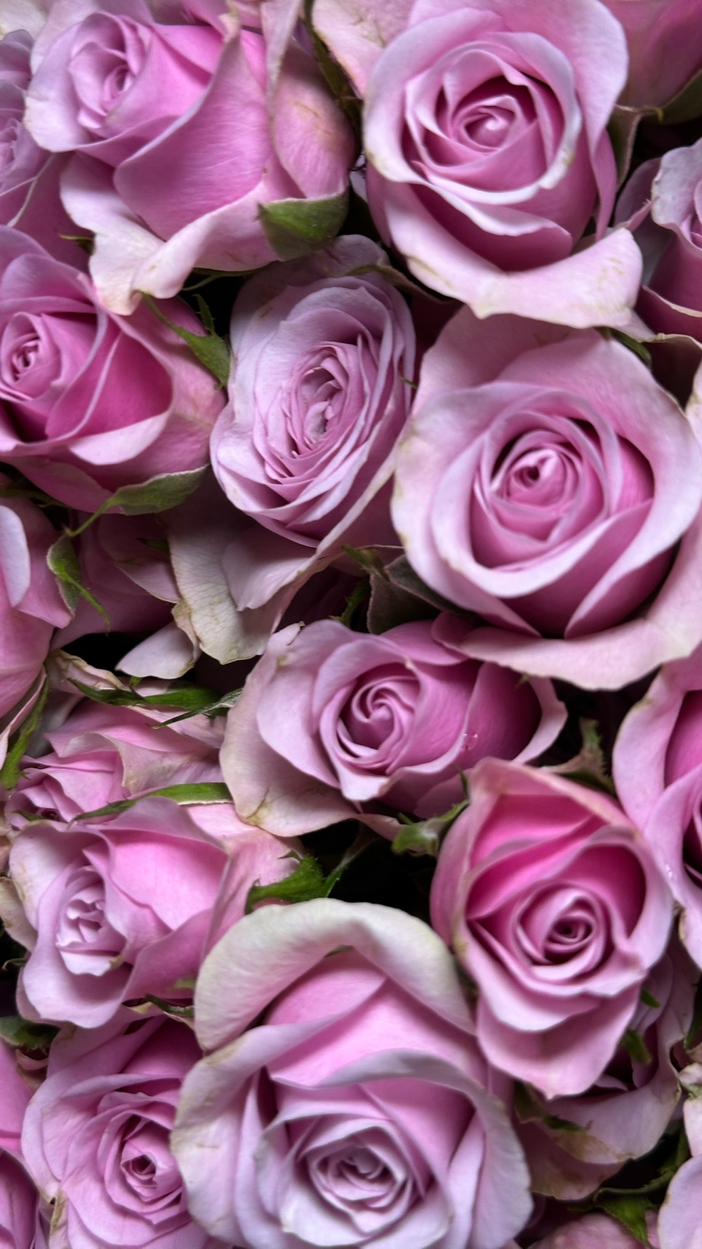 В такой букетик добавить 4 веточки кустовых роз