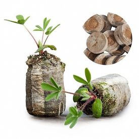 Как пользоваться торфяными таблетками при посеве семян на рассаду.