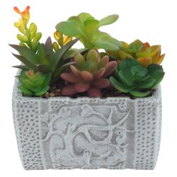 GAEM Цветочная композиция "Суккуленты", L16 W11,5 H16 см