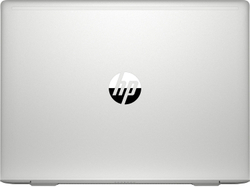 Ноутбук HP ProBook 445 G7 1F3K8EA Ryzen 3 4300U/8GB/256GB SSD/14; FHD AG/WiFi/BT/Win10Pro/pike silver