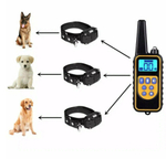 Электронный ошейник для дрессировки собак
