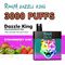 RANDM Dazzle King - Strawberry Kiwi (Kiwi Berry) (3000)