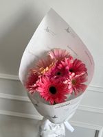 Кулек из гербер в розовом оттенке 7 шт