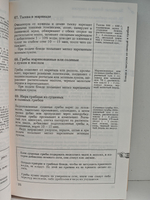 Кулинарные рецепты