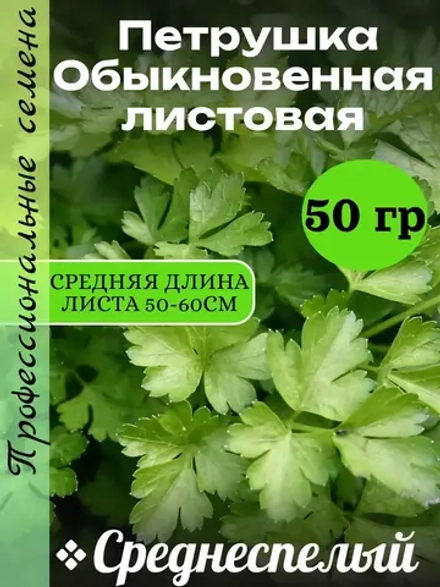 Семена Петрушка Обыкновенная листовая (50 гр)
